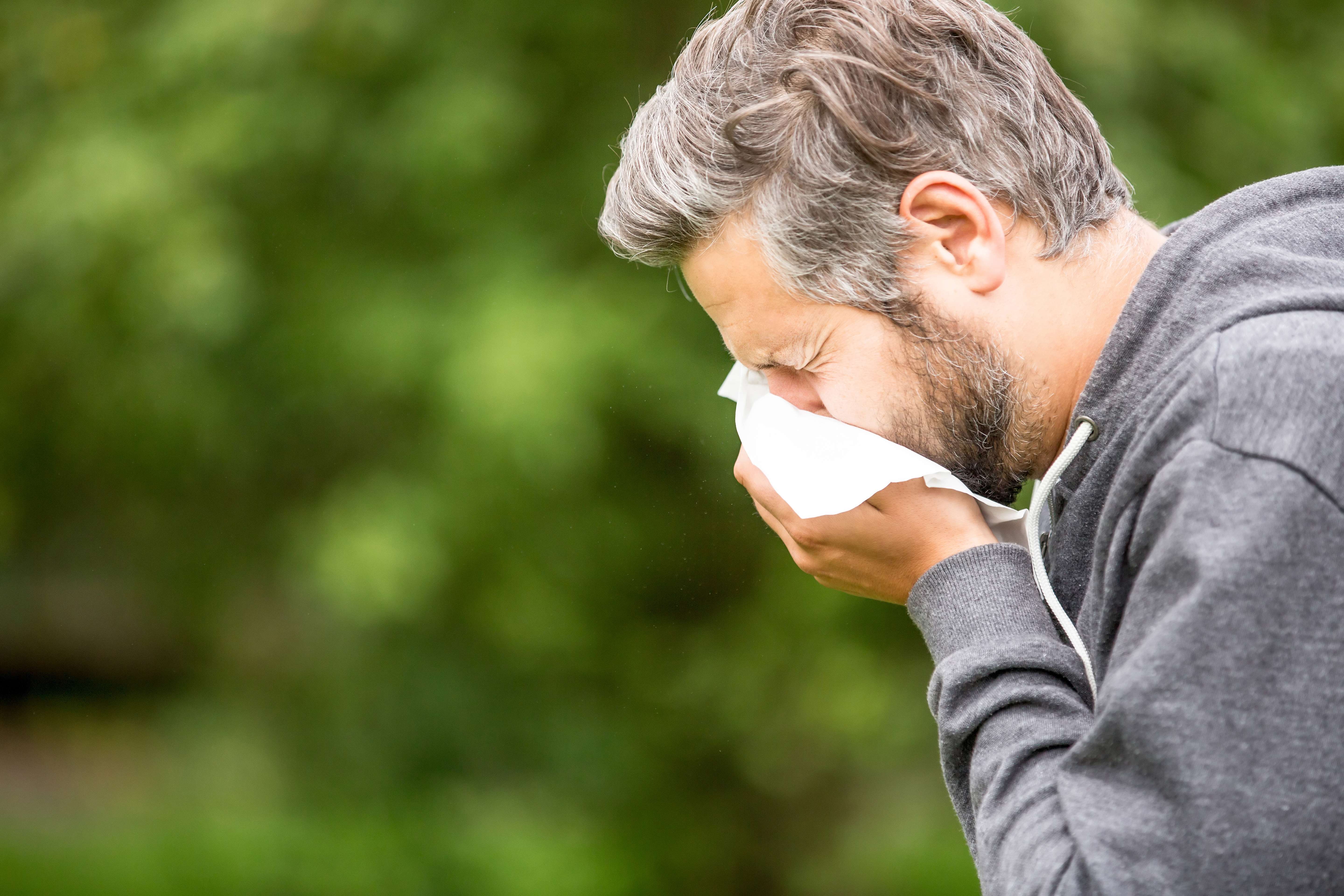 ¿Estornudar es un síntoma de la enfermedad de la corona? Cómo saber la diferencia entre un virus, una alergia y la gripe – Telemundo Chicago